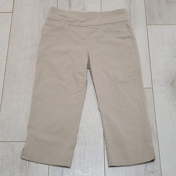Ruby Rd. PULL ON STRETCH CAPRIS, Sz 4P, BEIGE, RAYON/NYLON/SPANDEX - Picture 2 of 9